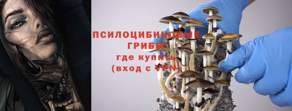 скорость Алексин
