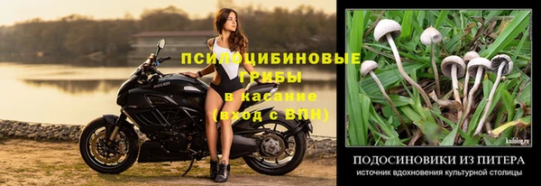 бошки Алзамай