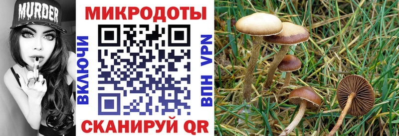 Псилоцибиновые грибы мухоморы  Сельцо 