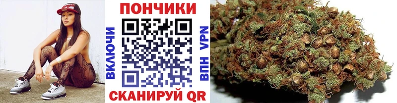 Каннабис сатива  Сельцо 